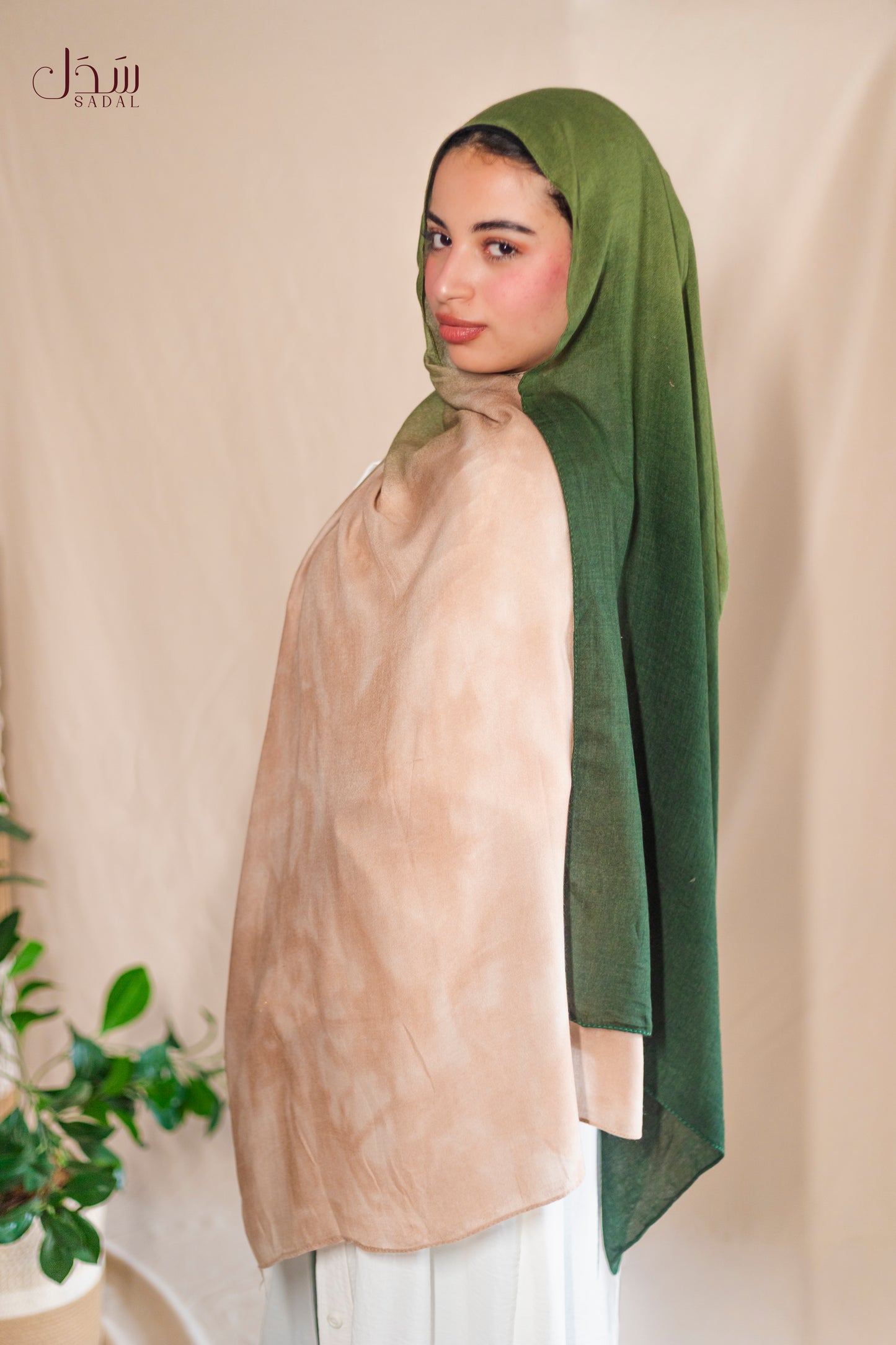 Degrade Olive / Beige