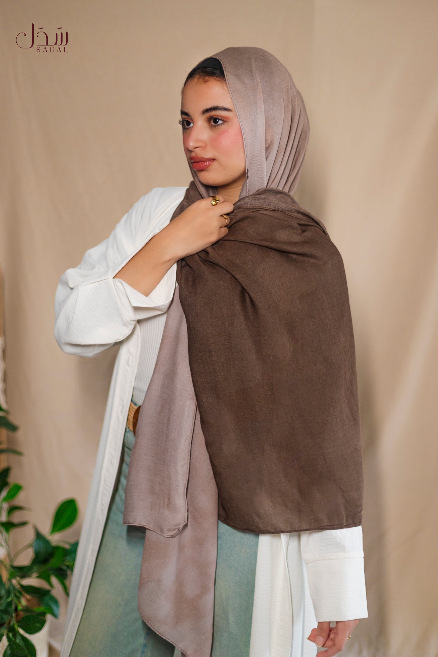 Degrade Mocha / Brown